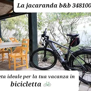  Gasthof La Jacaranda